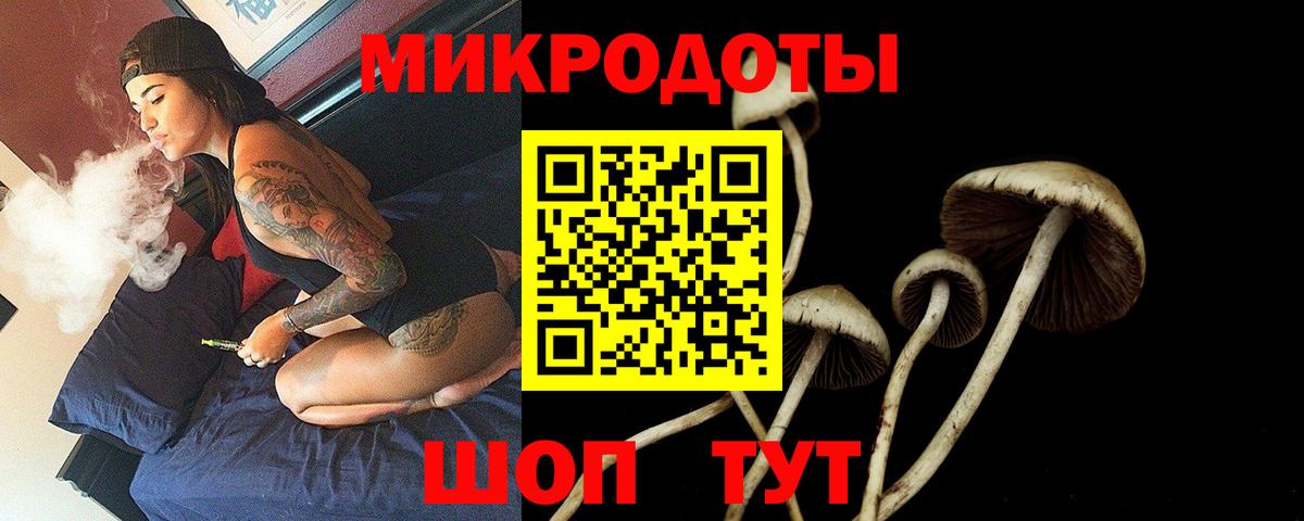 Галлюциногенные грибы GOLDEN TEACHER  Псилоцибиновые грибы прущие грибы  Вход с VPN  Унеча 
